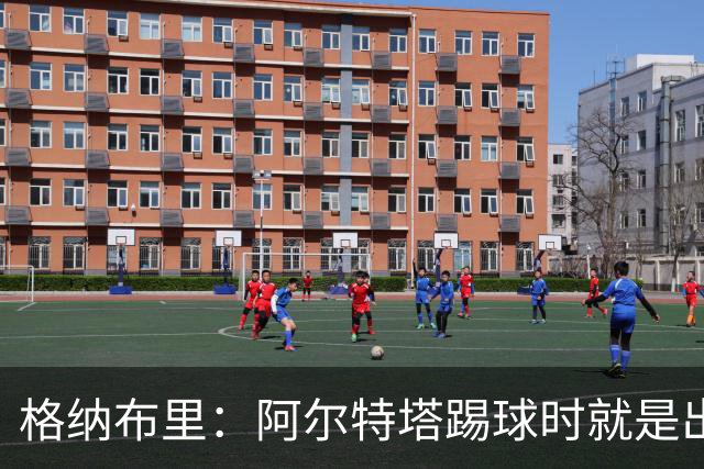 格纳布里：阿尔特塔踢球时就是出色领袖；祝福凯恩能拿金球奖