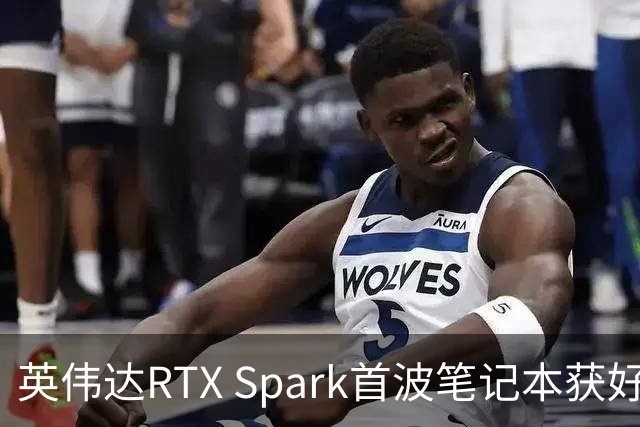 英伟达RTX Spark首波笔记本获好评，但续航成了问号
